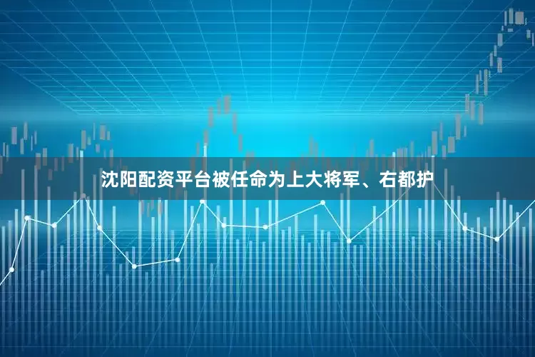 沈阳配资平台被任命为上大将军、右都护