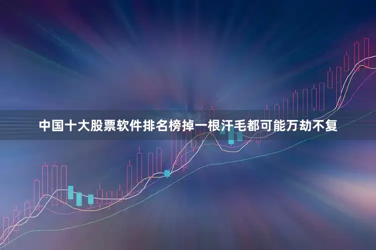 中国十大股票软件排名榜掉一根汗毛都可能万劫不复
