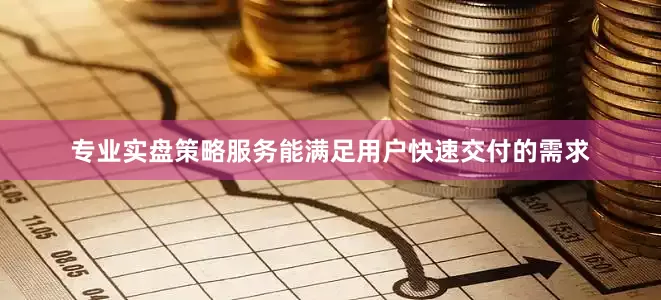 专业实盘策略服务能满足用户快速交付的需求